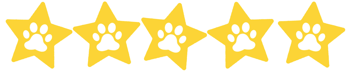 5 stars